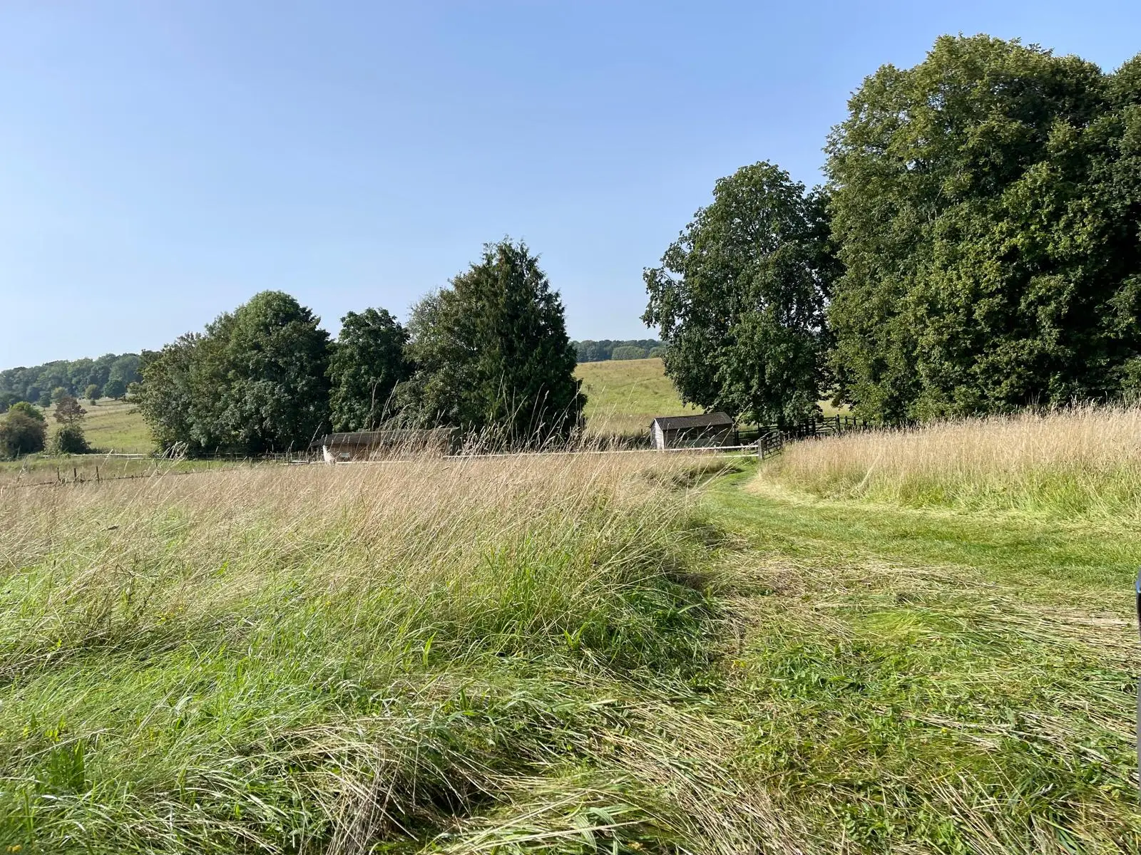 scub-clearance-ecology-#groundco_scrubclearance