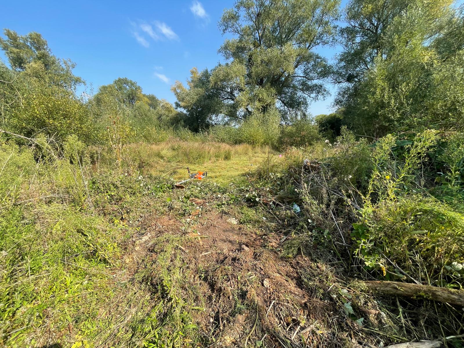 #scrub_clearance #scrubclearance #ecology 