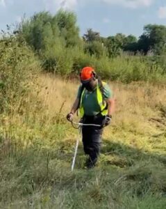 ecology scrub clearance